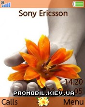 Тема oranj для Sony Ericsson 240x320