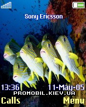 Тема для Sony Ericsson 176x220 - The Sea
