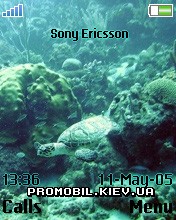 Тема для Sony Ericsson 176x220 - Sea Turtle