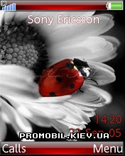 Тема для Sony Ericsson 240x320 - The Bug