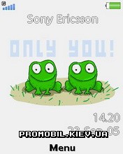 Тема для Sony Ericsson 240x320 - Frogs In Love