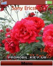 Тема для Sony Ericsson 240x320 - Lovely Flowers