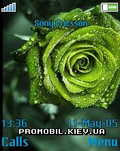 Тема для Sony Ericsson 240x320 - Green Rose