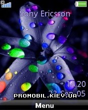 Тема для Sony Ericsson 240x320 - Flower