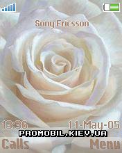 Тема для Sony Ericsson 176x220 - Rose