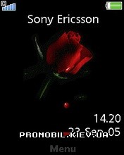 Тема для Sony Ericsson 240x320 - Bleeding Rose