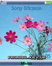 Тема для Sony Ericsson 240x320 - Bunch Of Flowers