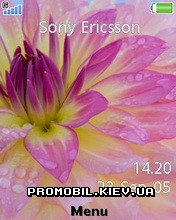Тема для Sony Ericsson 240x320 - Pink