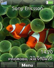 Тема для Sony Ericsson 240x320 - Iphone