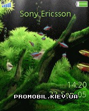 Тема для Sony Ericsson 240x320 - Aquarium