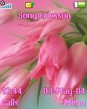 Тема для Sony Ericsson 128x160 - Pink Bouquets