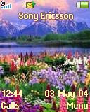 Тема для Sony Ericsson 128x160 - Wilde Flowers