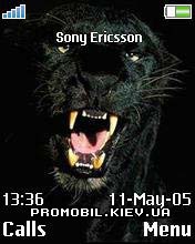 Тема для Sony Ericsson 176x220 - American Panther