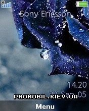 Тема для Sony Ericsson 240x320 - Blue Rose