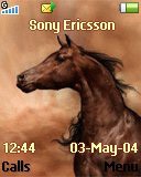 Тема для Sony Ericsson 128x160 - Brown Horse