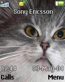 Тема для Sony Ericsson 128x160 - Cat