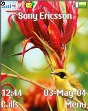 Тема для Sony Ericsson 128x160 - Little Birds
