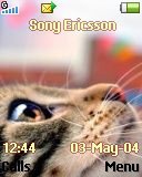 Тема для Sony Ericsson 128x160 - Kitty
