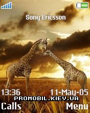 Тема для Sony Ericsson 176x220 - Africa