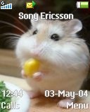 Тема для Sony Ericsson 128x160 - Hampster