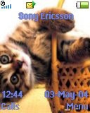Тема для Sony Ericsson 128x160 - Kittys