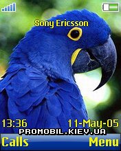 Тема для Sony Ericsson 176x220 - Blue Parrot