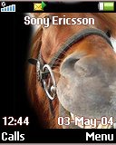 Тема для Sony Ericsson 128x160 - Smiling Horse