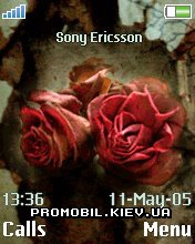 Тема для Sony Ericsson 176x220 - Flower