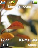 Тема для Sony Ericsson 128x160 - Leaves