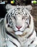 Тема для Sony Ericsson 128x160 - White Tiger