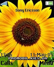 Тема для Sony Ericsson 176x220 - Happy Sun flower