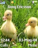 Тема для Sony Ericsson 128x160 - Ducks