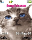 Тема для Sony Ericsson 128x160 - Cat