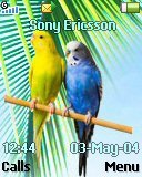 Тема для Sony Ericsson 128x160 - Tropical