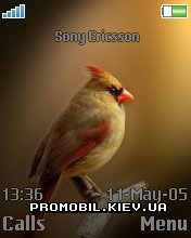 Тема Bird с птичкой для Sony Ericsson 176x220 