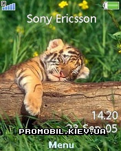 Тема Tiger с тигром для Sony Ericsson 240x320