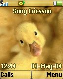 Тема для Sony Ericsson 128x160 - Duck