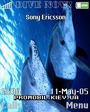 Тема для Sony Ericsson 176x220 - Dolphins