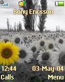 Тема для Sony Ericsson 128x160 - Sunflower