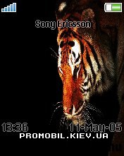 Тема для Sony Ericsson 176x220 - Tiger