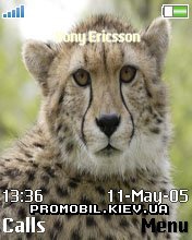 Тема для Sony Ericsson 176x220 - Cheetah