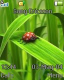 Тема для Sony Ericsson 128x160 - Buggy
