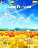 Тема для Sony Ericsson 128x160 - Dream world