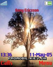 Тема для Sony Ericsson 176x220 - Sunlight And Tree