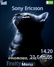 Тема для Sony Ericsson 240x320 - Kat