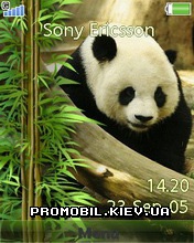 Тема для Sony Ericsson 240x320 - Panda