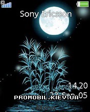 Тема для Sony Ericsson 240x320 - Night