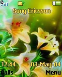 Тема для Sony Ericsson 128x160 - Flowers