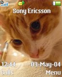 Тема для Sony Ericsson T270i - Cat