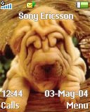 Тема для Sony Ericsson W300i - Crazy Dog